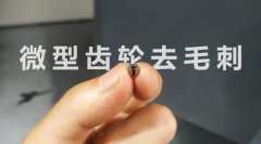  小微齒輪去毛刺清理，適合磨粒流加工！ 